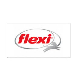 FLEXİ