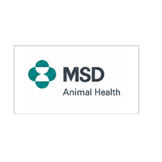 MSD